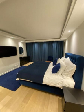 Luxueux studio aux Eaux-Vives